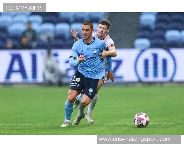 萨贾德与马丁的巅峰对决谁将赢得最终胜利的较量分析